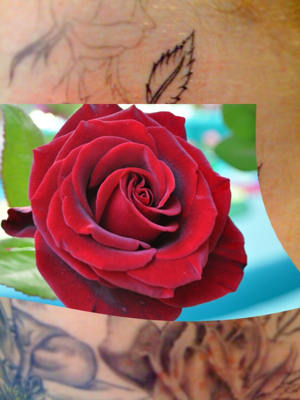 Creation of Rose tatoo: Step 1